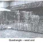 Musaeus