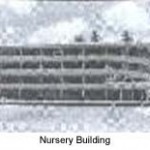 Musaeus