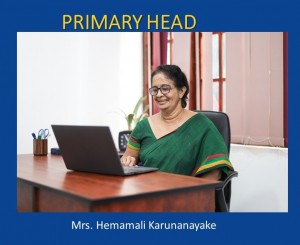Primary Head